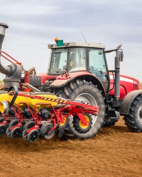 SOYEXIMGLOBAL | CRECIENDO JUNTOS