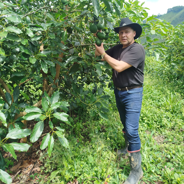 SOYEXIMGLOBAL%20|%20CRECIENDO%20JUNTOS